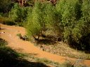 Verde Canyon Photo