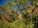 Verde Canyon Photo