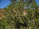 Verde Canyon Photo
