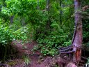 West Clear Creek Photo