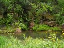 West Clear Creek Photo