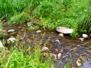 West Clear Creek Photo